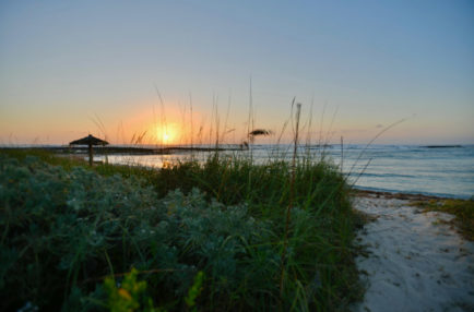 The Sandpiper Inn