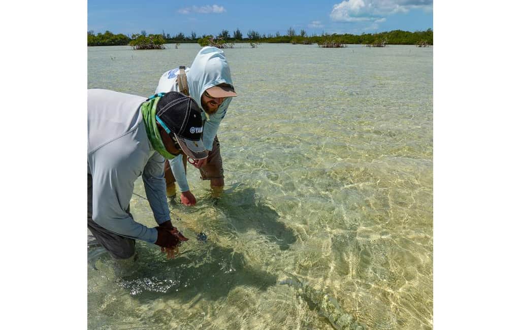 Bonefishing | The Sandpiper Inn & Cottages, South Abaco, The Bahamas Bonefishing